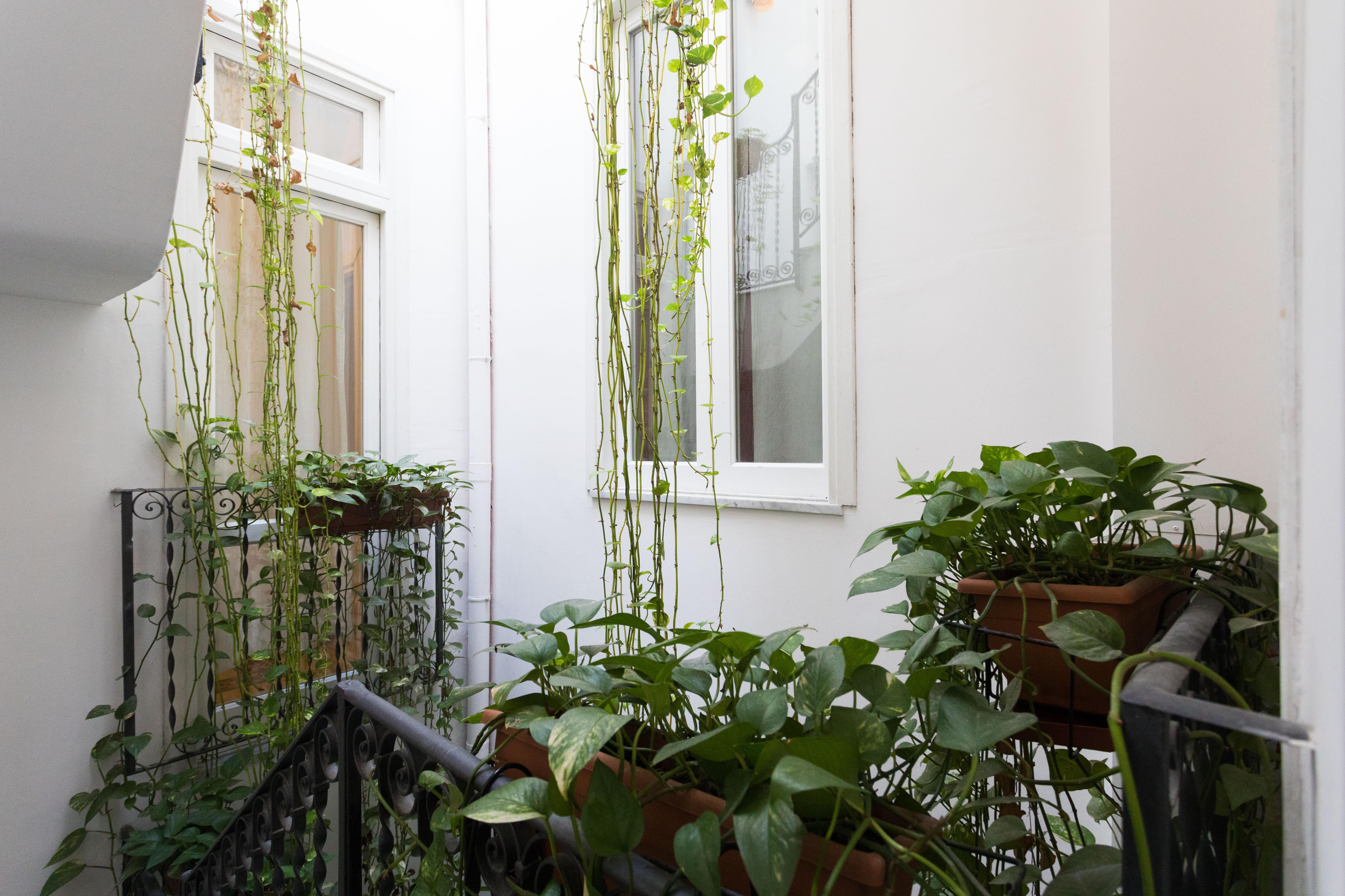 Ai Tintori Bed & Breakfast ปาแลร์โม ภายนอก รูปภาพ